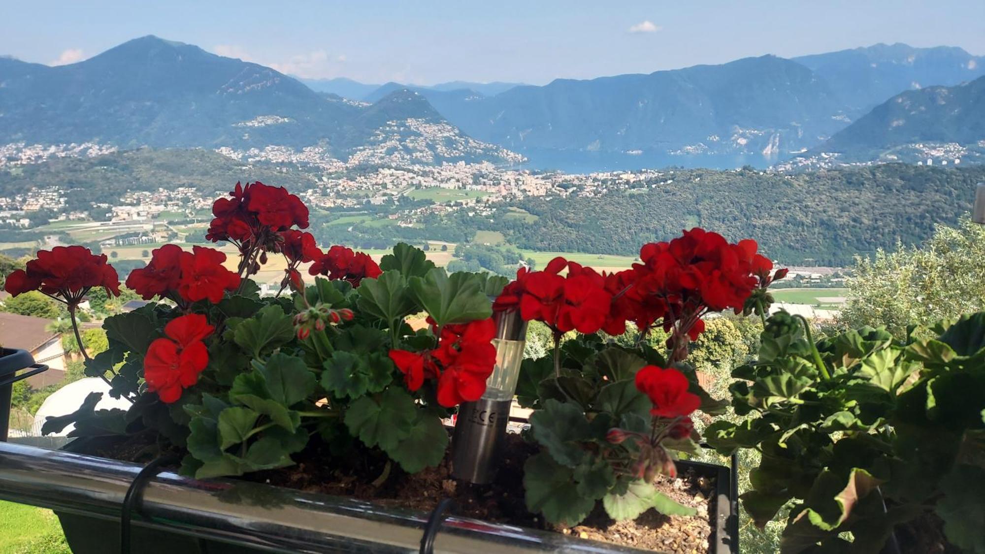 Entire Apartments With Stunning View Cademario Exteriör bild